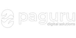 PAGURU DIGITAL SOLUTIONS